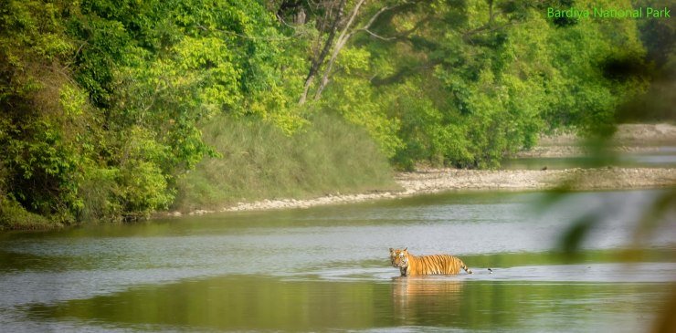 Bardiya Nepal