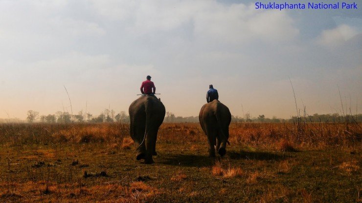 Shuklaphanta National Park