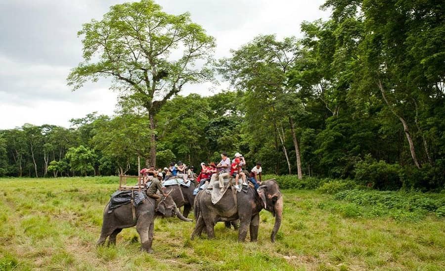 Chitwan National Park